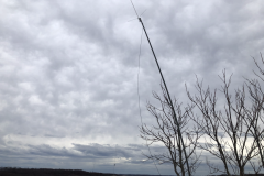 20200111_183635151_halfsize